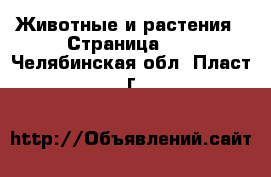  Животные и растения - Страница 10 . Челябинская обл.,Пласт г.